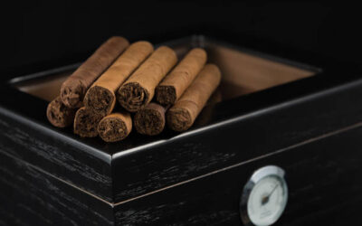 Preserving Perfection: An Introduction to Cigar Storage and Humidors